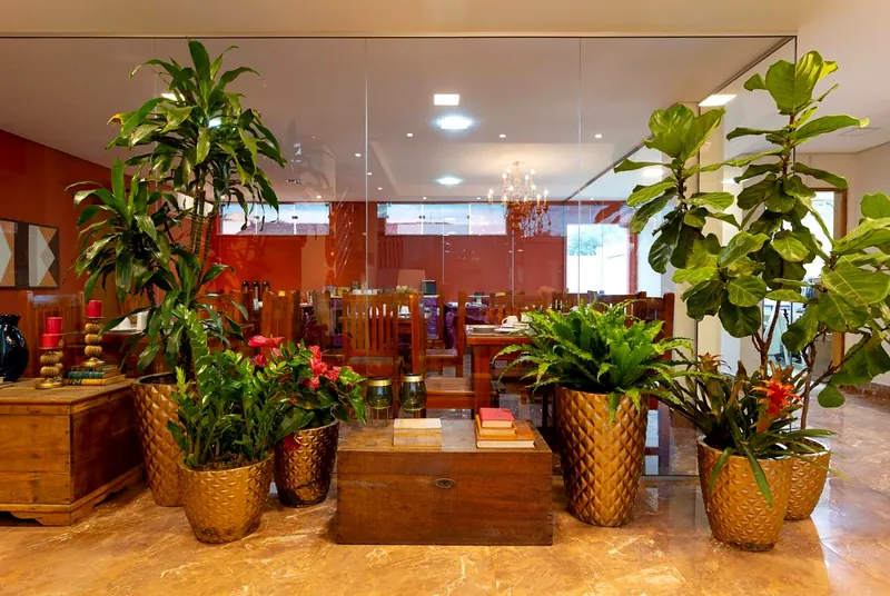 Vasos dourados com plantas na entrada do salão do café, com baú de madeira e parede de vidro